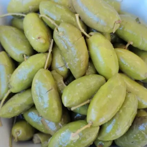 Aceitunas Cornezuelo (Temporada)